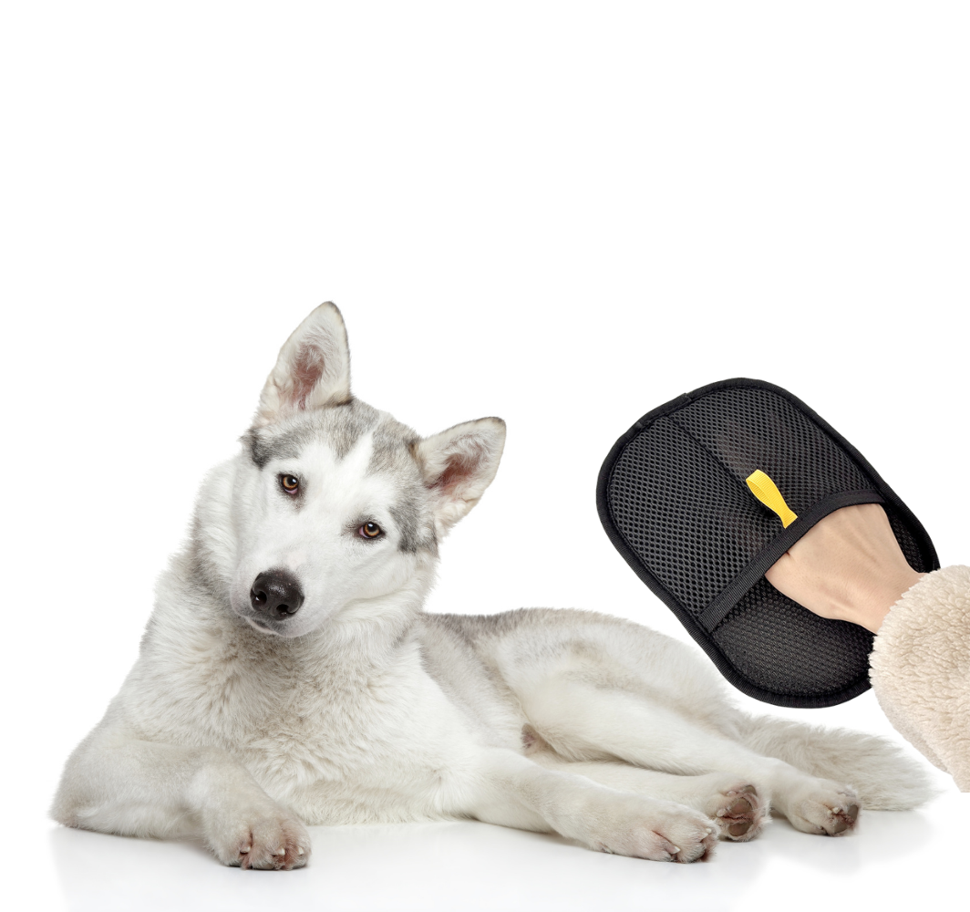 HuskyGlove